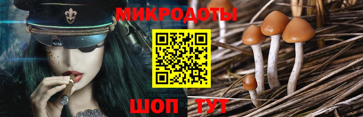 Псилоцибиновые грибы Psilocybe Донецк