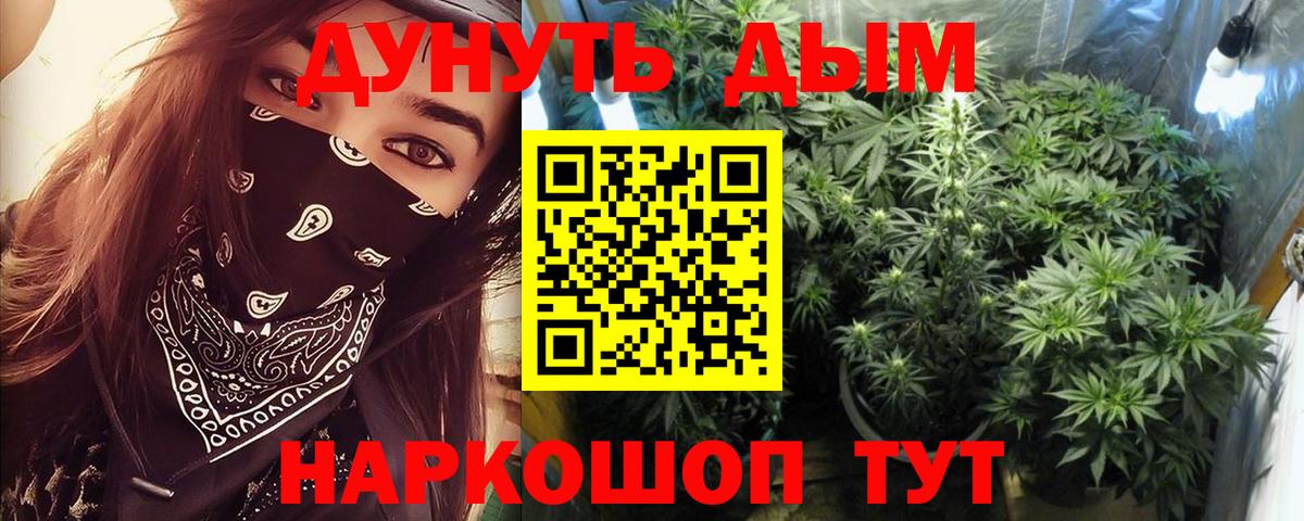 Марихуана Bruce Banner  Вход с VPN  МАРИХУАНА семена  Бошки марихуана ГИДРОПОН  Донецк 